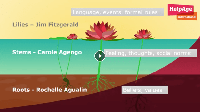 Language, events, formal rules. Lillies- Jim Fizgerald. Stems- Carole Agengo. Feelings, thoughts, social norms. Roots - Rochelle Agualin. Beliefs, values